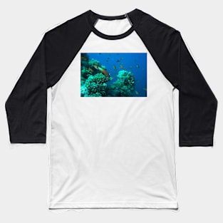 RED SEA MARINE LIFE Baseball T-Shirt